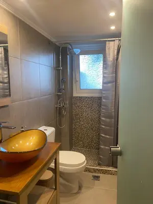 a bathroom with a sink and a toilet and a shower at Cosy Lux Apartment in Athens