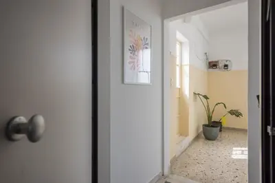 a hallway with a door with a potted plant at THEA Terrace 6th floor Apartment in Athens