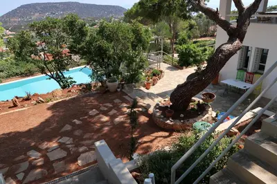 a patio with a tree and a swimming pool at Hippie Bay Complex in Porto Rafti
