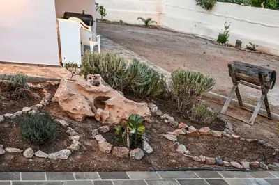 a rock garden with a bench and a plant at morfo's sunset in Sounio