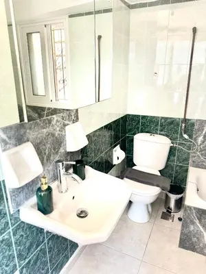 a bathroom with a white sink and a toilet at GRACE Apartment Next to the Akropolis in Athens