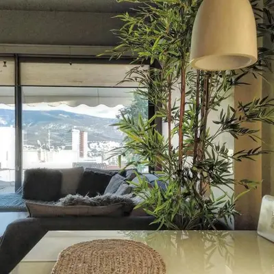 a living room with a couch and some plants at Boutique Loft Penthouse in Athens
