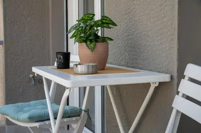 a table with a potted plant on top of it at Spacious 2 BR apartment next to Acropolis in Athens