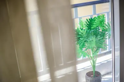 a plant in a pot sitting in a window at Ser House in Athens