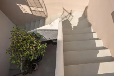 a staircase with two potted plants next to a building at Petralona Gem with Private Terrace in Athens
