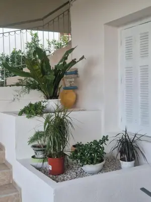 a group of potted plants sitting on a staircase at Stone Apartment Close to the Airport in Spáta