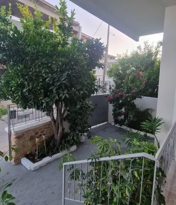 a garden with a tree and some plants at Stone Apartment Close to the Airport in Spáta