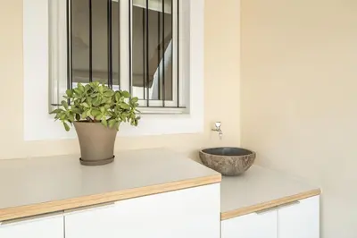 a plant sitting on a counter next to a window at Family 2BR Apt By National Archaeological Museum in Athens