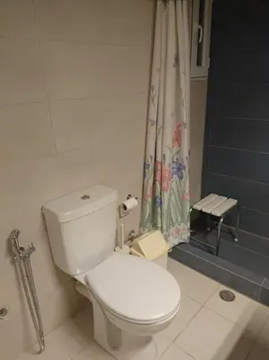 a bathroom with a toilet and a shower curtain at Athens Riviera Beach Retreat in Athens
