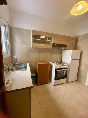 a kitchen with a white refrigerator and a sink at Kalamaki Philoxenia in Athens