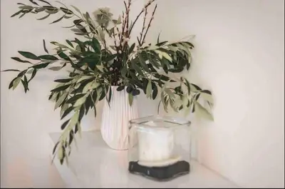 a plant in a vase sitting on a shelf at Studio In The Heart Of Kallithea in Athens
