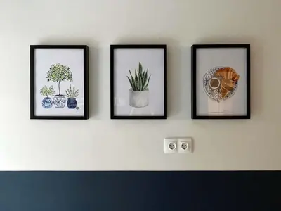 four framed pictures of plants on a wall at Marmaronetta in Athens