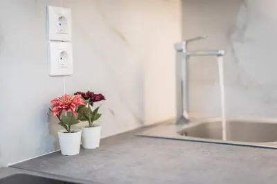 two flowers on a counter next to a sink at Kallithea Kyprou Square ! in Athens