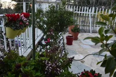 a garden with flowers and plants on a white fence at Panorama Γλυκά Νερά - Athens in Glyka Nera