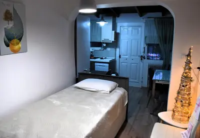 a room with a bed and a christmas tree in it at Panorama Γλυκά Νερά - Athens in Glyka Nera
