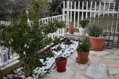 a garden with potted plants on a patio at Panorama Γλυκά Νερά - Athens in Glyka Nera