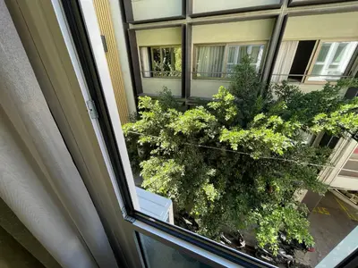 an open window with a view of a plant at Arame Luxury Apartments in Athens