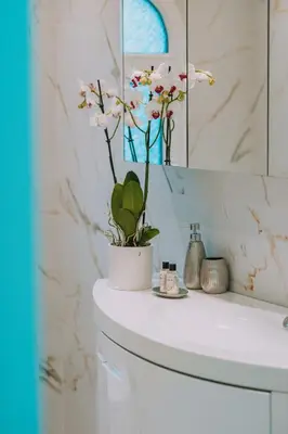 a bathroom with a white sink with a potted plant at YourHostess in Athens