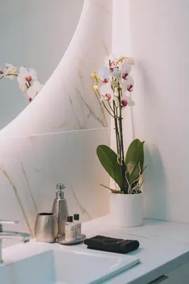 a bathroom counter with a vase of flowers on it at YourHostess in Athens