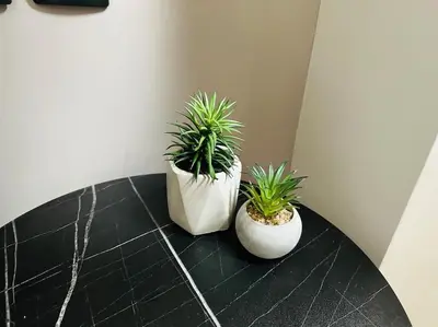 two potted plants sitting on top of a table at Port Brown Suite 2 in Piraeus