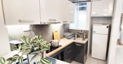 a kitchen with white cabinets and a potted plant at Διαμέρισμα στο Θησείο in Athens