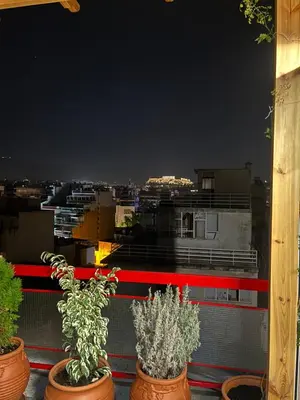 a group of potted plants sitting on a balcony at Panos Loft With Acropolis View in Athens