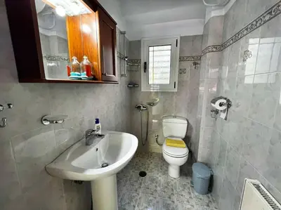 a bathroom with a sink and a toilet at Cosy Apartment with Garden 5 min from metro in Athens