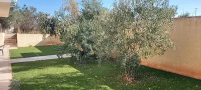 a small tree in a yard next to a wall at Gianni & Sophia airport house in Artemida
