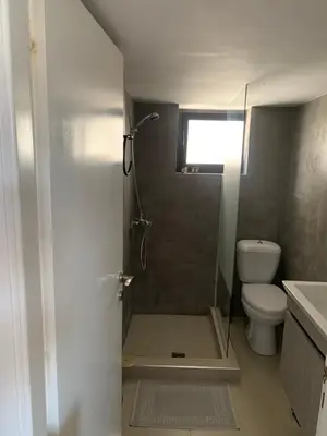 a bathroom with a shower and a toilet at Nenas house in Porto Rafti