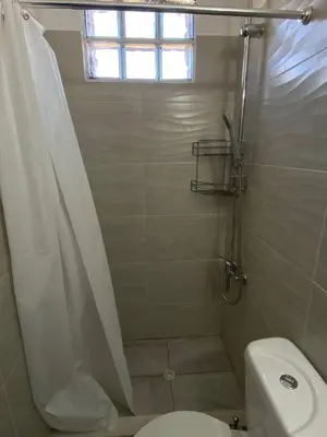 a bathroom with a shower and a toilet and a window at Fanis Rooms in Aghia Marina