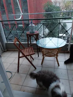 a cat laying on the floor next to a table and chair at LEONEG corner in Athens