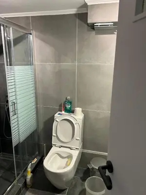 a small bathroom with a toilet and a shower at Cozy apartment in Athens in Athens