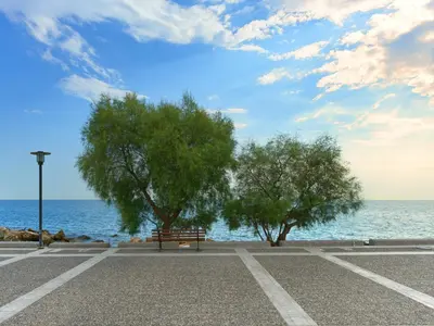 two trees and a bench in front of the ocean at YaPe Coastal Suites at Alimos Beach in Athens