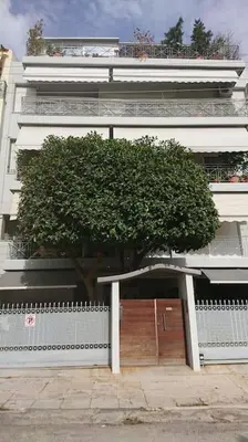 a tree in front of a white building at Cozy ground floor studio near metro! in Athens