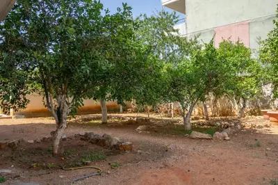 a row of trees with a building in the background at Andre Apartment in Athens