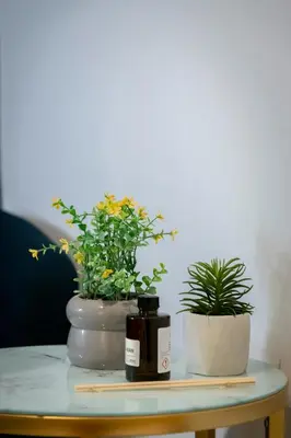 a table with two potted plants on it at Chic One-Bedroom retreat near Panathenaic Stadium in Athens