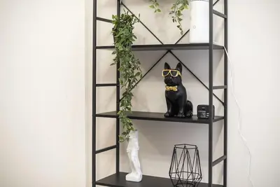 a black cat wearing glasses sitting on a shelf at Athens city gem in koukaki in Athens
