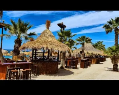 a beach with tables and straw umbrellas and palm trees at Zen Alimos in Athens