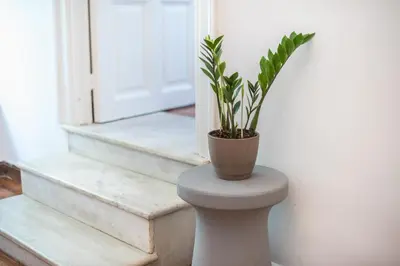 a plant sitting on top of a toilet in front of a door at zen-amazing, exarchia in Athens
