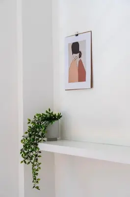 a picture of a woman on a shelf with a plant at Luana's Charming Apart in Pagrati in Athens