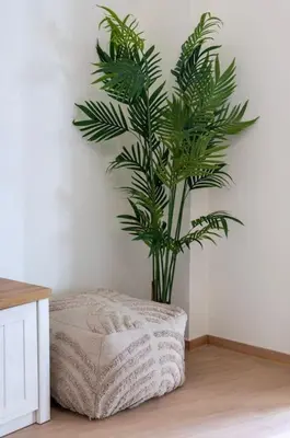 a potted plant in a corner of a room at Luana's Charming Apart in Pagrati in Athens