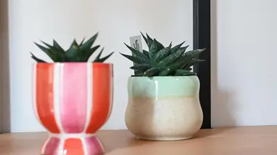 two vases with plants in them sitting on a table at Medluxe SMART APARTMENT! in Athens