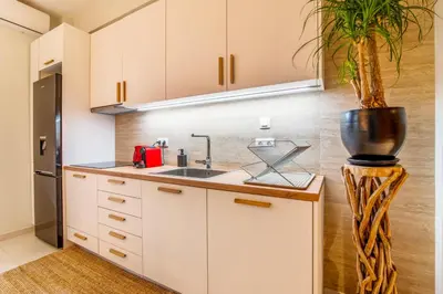 a kitchen with a sink and a potted plant at Solonaki Luxury Studio Apt in the heart of Athens in Athens