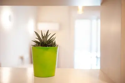 a green vase with a plant sitting on a table at Work of Art Athens in Athens