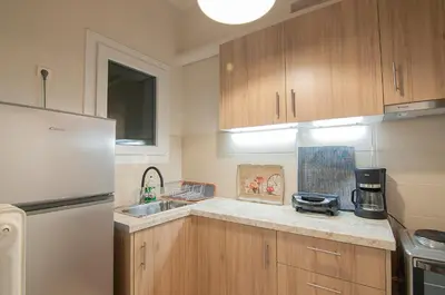 a kitchen with wooden cabinets and a white refrigerator at Work of Art Athens in Athens