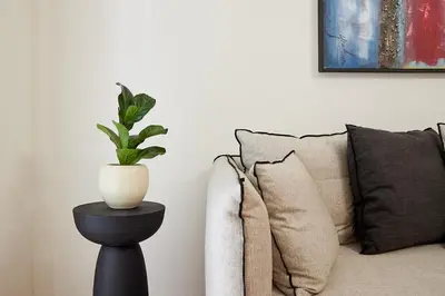 a plant on a table next to a couch at Athens Acropolis Residence, by the Acropolis Museum in Athens