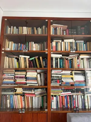a book shelf filled with lots of books at Cozy apartment in lycabettus hills in Athens