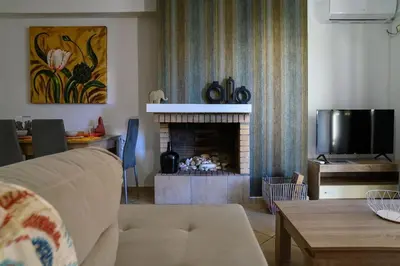 a living room with a couch and a fireplace at Premium Athenian District Urban 1 bedroom flat C in Athens