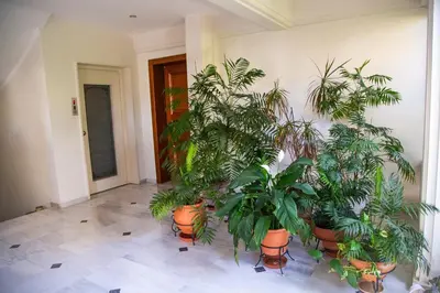 a room with a bunch of plants in pots at Luxury apt near the airport N2 in Spáta