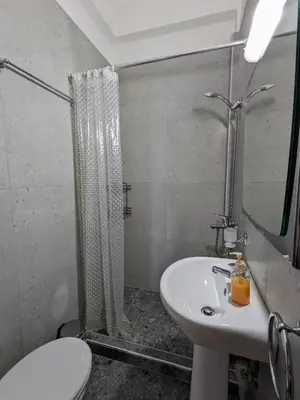 a bathroom with a toilet and a sink and a shower at Cozy Corner, One-Bedroom Flat in Athens
